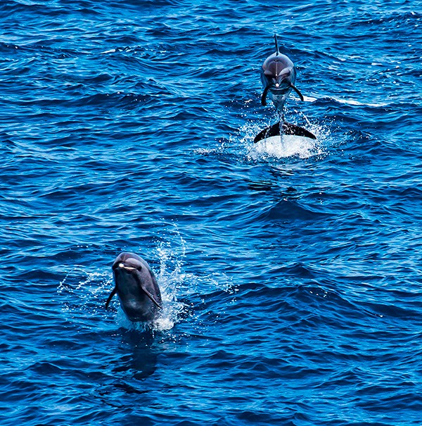 Photo  par Philip Plisson