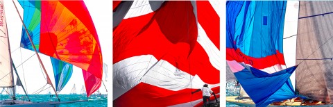 Photo Trio of colourful sails par Philip Plisson