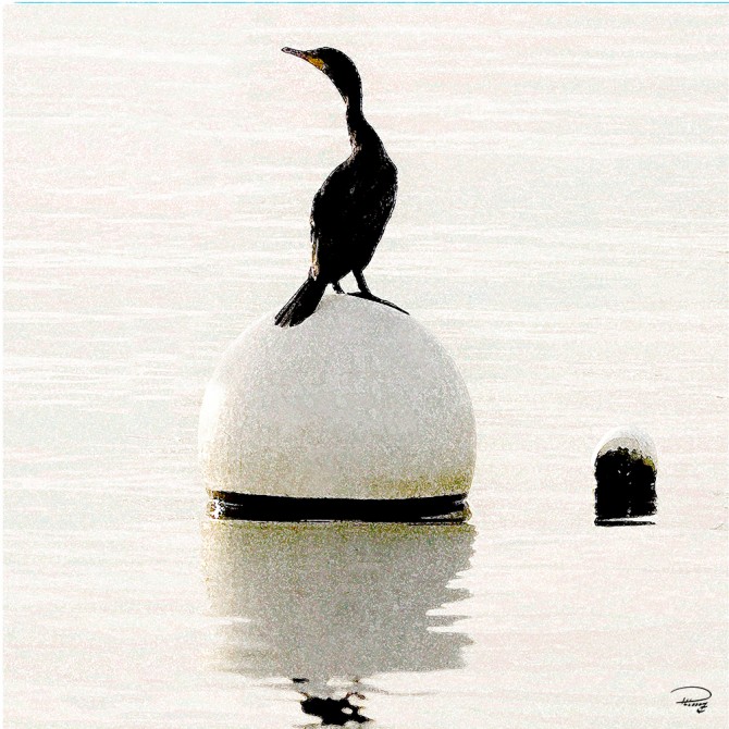 Photo  par Philip Plisson