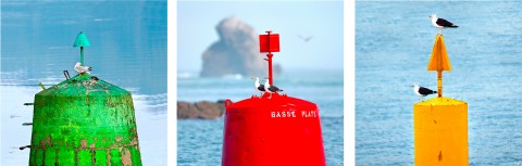 Photo Trio Tourelles colorées par Philip Plisson