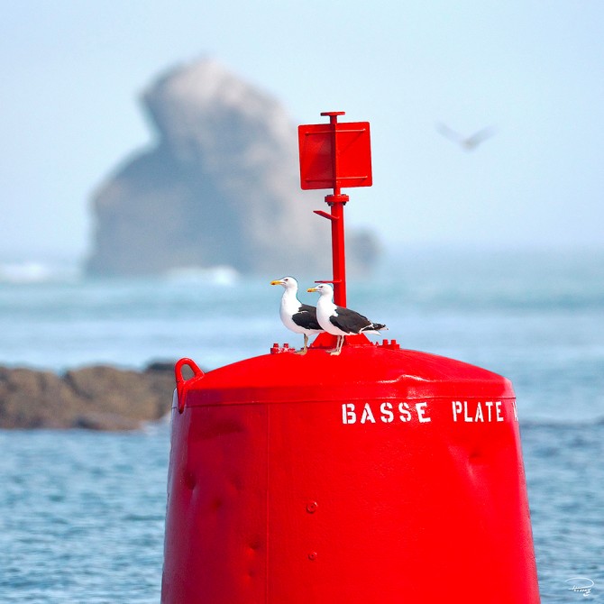 Photo  par Philip Plisson