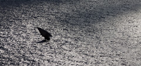 Photo La mer en noir et blanc par Philip Plisson