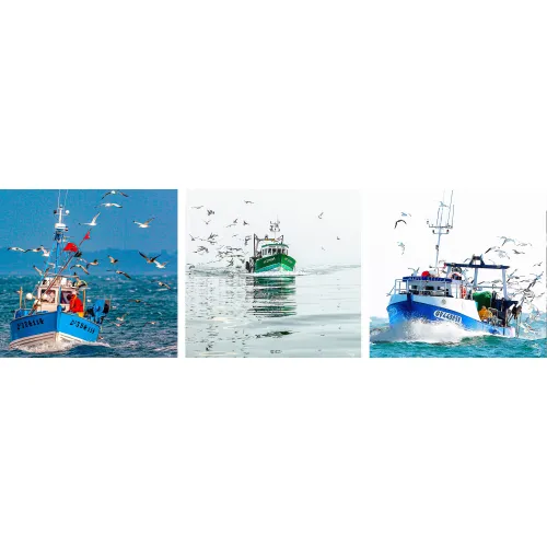 Photo on canvas - Back from fishing - Britttany - Philip Plisson