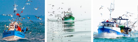 Photo Retour de pêche en Bretagne par Philip Plisson