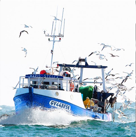 Photo Retour de pêche en Bretagne par Philip Plisson