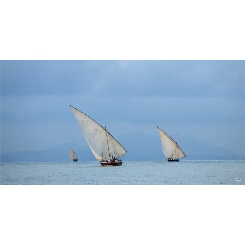 Photo on canvas  - The dhows of Nosy Ve - Philip Plisson