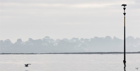 Photo South Cardinale buoy par Philip Plisson