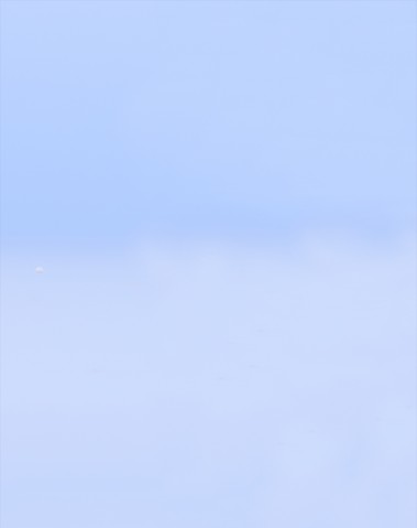 Photo En pause sur le balise par Philip Plisson