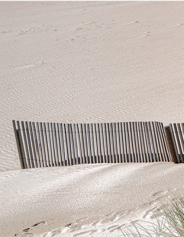 Photo Ganivelles au bord de la mer par Philip Plisson