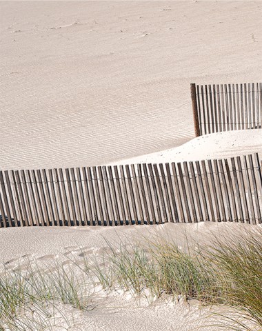 Photo Ganivelles au bord de la mer par Philip Plisson