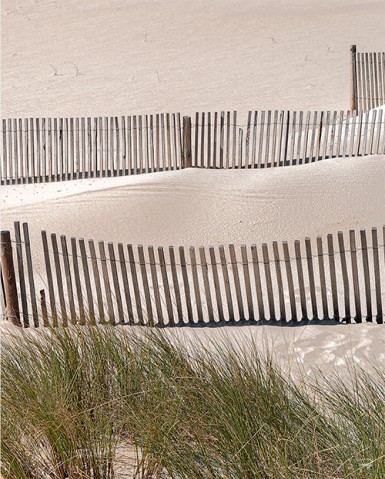 Photo Ganivelles au bord de la mer par Philip Plisson