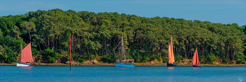 Photo Semaine du Golfe 2025, Entre terre et mer par Philip Plisson