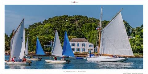 Photo Voiles bleues dans le Golfe du Morbihan par Philip Plisson