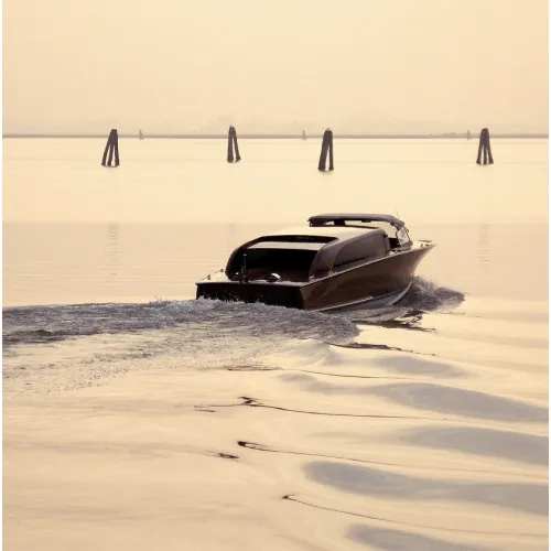 Photo on canvas - Polar Bear at rest - Philip Plisson