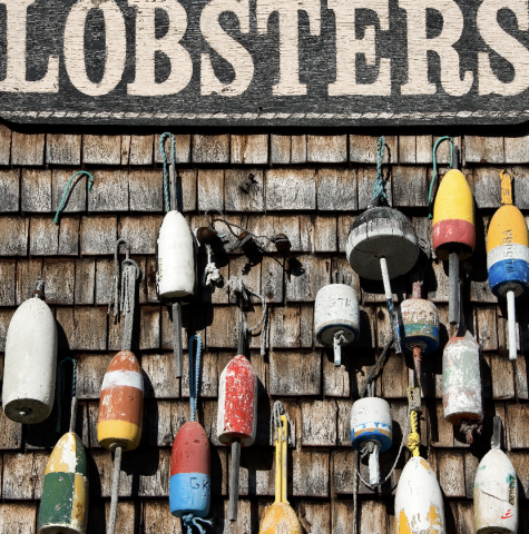 Photo Casiers à homard dans le Maine par Philip Plisson