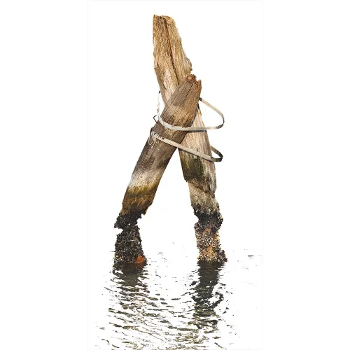 Art print photo - Bricole in the Venetian Lagoon - Philip Plisson