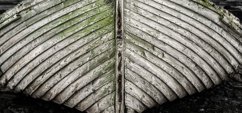 Photo Etrave d'une baleinière en Georgie du sud par Philip Plisson