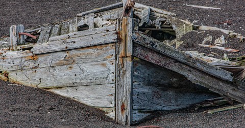 Photo A life of whaling par Philip Plisson